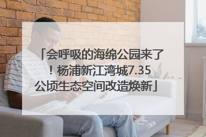 会呼吸的海绵公园来了！杨浦新江湾城7.35公顷生态空间改造焕新