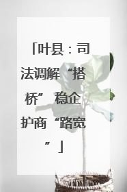 叶县：司法调解“搭桥” 稳企护商“路宽”