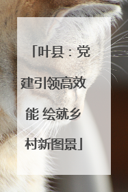 叶县：党建引领高效能 绘就乡村新图景