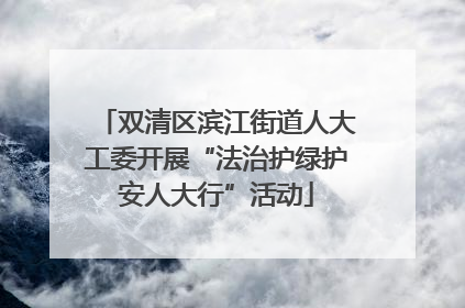 双清区滨江街道人大工委开展“法治护绿护安人大行”活动