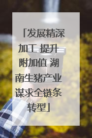 发展精深加工 提升附加值 湖南生猪产业谋求全链条转型