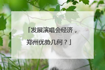 发展演唱会经济，郑州优势几何？