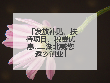 发放补贴、扶持项目、税费优惠……湖北喊您返乡创业