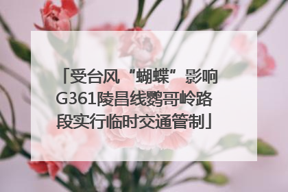 受台风“蝴蝶”影响 G361陵昌线鹦哥岭路段实行临时交通管制