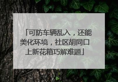 可防车辆乱入，还能美化环境，社区胡同口上新花箱巧解难题