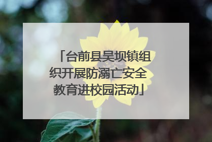 台前县吴坝镇组织开展防溺亡安全教育进校园活动