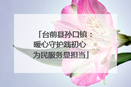 台前县孙口镇：暖心守护践初心 为民服务显担当