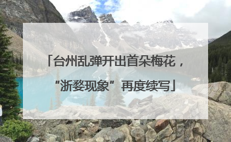 台州乱弹开出首朵梅花，“浙婺现象”再度续写
