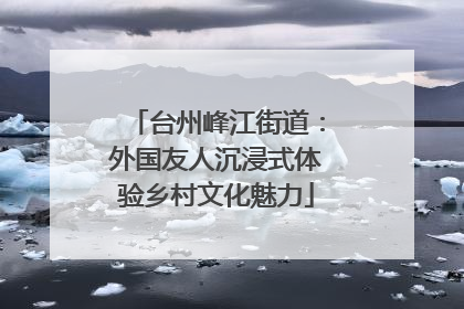 台州峰江街道：外国友人沉浸式体验乡村文化魅力