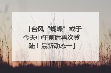 台风“蝴蝶”或于今天中午前后再次登陆！最新动态→