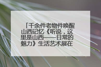 千余件老物件唤醒山西记忆《听说，这里是山西——日常的魅力》生活艺术展在忻州市图书馆开展