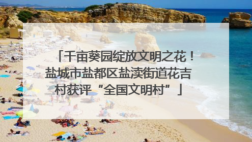 千亩葵园绽放文明之花！盐城市盐都区盐渎街道花吉村获评“全国文明村”
