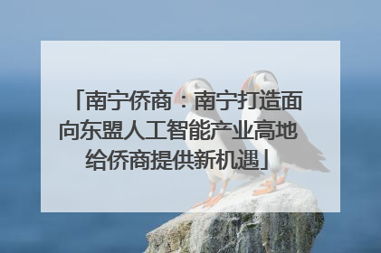 南宁侨商：南宁打造面向东盟人工智能产业高地给侨商提供新机遇
