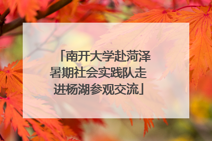 南开大学赴菏泽暑期社会实践队走进杨湖参观交流