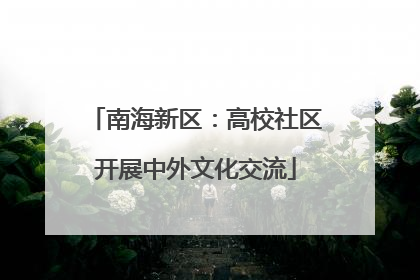 南海新区：高校社区开展中外文化交流