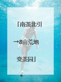 南茶北引→8亩荒地变茶园
