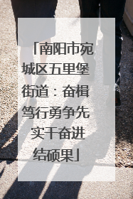 南阳市宛城区五里堡街道：奋楫笃行勇争先 实干奋进结硕果
