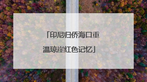 印尼归侨海口重温琼崖红色记忆