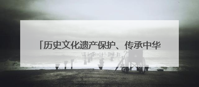 历史文化遗产保护、传承中华文脉……代表们关注这些事