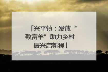 兴平镇：发放“致富羊”助力乡村振兴启新程