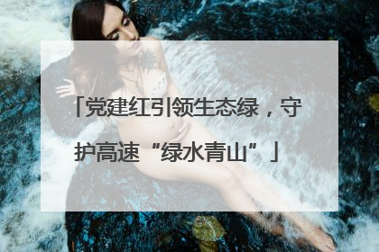 党建红引领生态绿，守护高速“绿水青山”