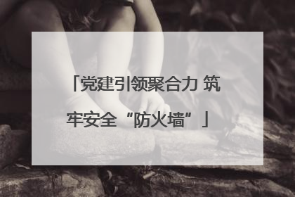 党建引领聚合力 筑牢安全“防火墙”