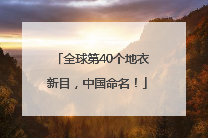 全球第40个地衣新目，中国命名！