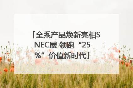 全系产品焕新亮相SNEC展 领跑“25%”价值新时代