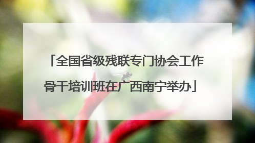 全国省级残联专门协会工作骨干培训班在广西南宁举办