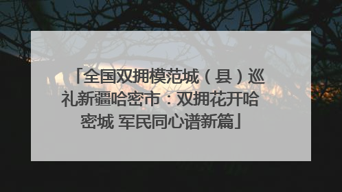 全国双拥模范城（县）巡礼新疆哈密市：双拥花开哈密城 军民同心谱新篇