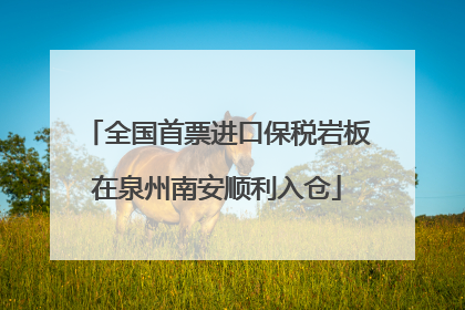 全国首票进口保税岩板在泉州南安顺利入仓