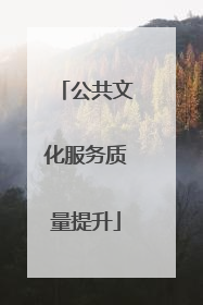 公共文化服务质量提升