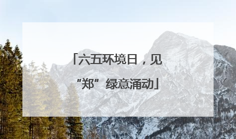 六五环境日，见“郑”绿意涌动