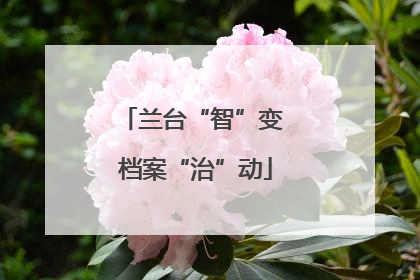 兰台“智”变 档案“治”动