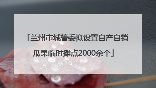 兰州市城管委拟设置自产自销瓜果临时摊点2000余个