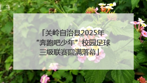 关岭自治县2025年“奔跑吧少年”校园足球三级联赛圆满落幕