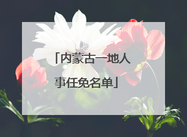 内蒙古一地人事任免名单