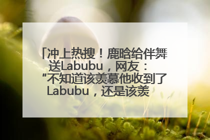 冲上热搜！鹿晗给伴舞送Labubu，网友：“不知道该羡慕他收到了Labubu，还是该羡慕鹿晗送他礼物”
