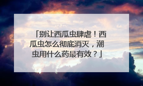 别让西瓜虫肆虐！西瓜虫怎么彻底消灭，潮虫用什么药最有效？