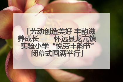 劳动创造美好 丰韵滋养成长——怀远县龙亢镇实验小学“悦劳丰韵节”闭幕式圆满举行
