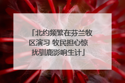 北约频繁在芬兰牧区演习 牧民担心惊扰驯鹿影响生计