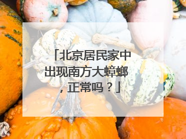 北京居民家中出现南方大蟑螂，正常吗？
