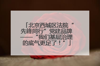 北京西城区法院“先锋同行”党建品牌——“我们基层治理的底气更足了！”