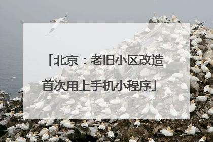 北京：老旧小区改造首次用上手机小程序