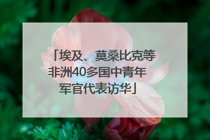 埃及、莫桑比克等非洲40多国中青年军官代表访华