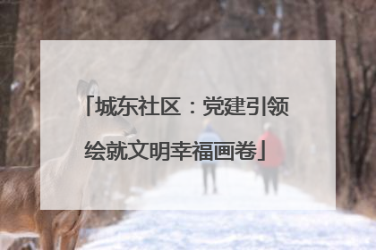 城东社区：党建引领绘就文明幸福画卷
