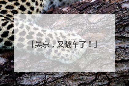 吴京，又翻车了！
