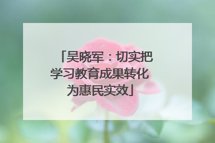 吴晓军：切实把学习教育成果转化为惠民实效
