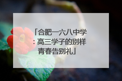 合肥一六八中学：高三学子的别样青春告别礼
