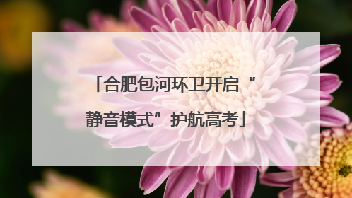 合肥包河环卫开启“静音模式”护航高考